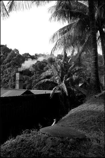 Distillerie Rhum JM - Martinique